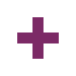 Natural Pharmaceuticals Hepactum&trade; FORTE Lilla plussmärgi ikoon valgel taustal, mida kasutatakse lisamise või laiendamise sümbolina.