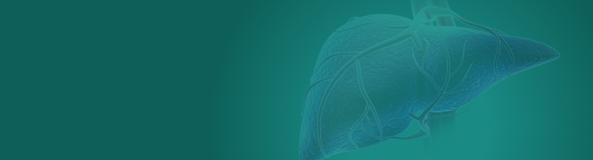 Natural Pharmaceuticals Hepactum&trade; FORTE Graafika kujutab sinakat illustratsiooni inimese maksast, millel on näha veresooned rohekaskollasel taustal. Pilt on osaliselt läbipaistev ja sobib taustaks või dekoratiivseks elemendiks, tõenäoliselt seotud maksa tervise teemaga.
